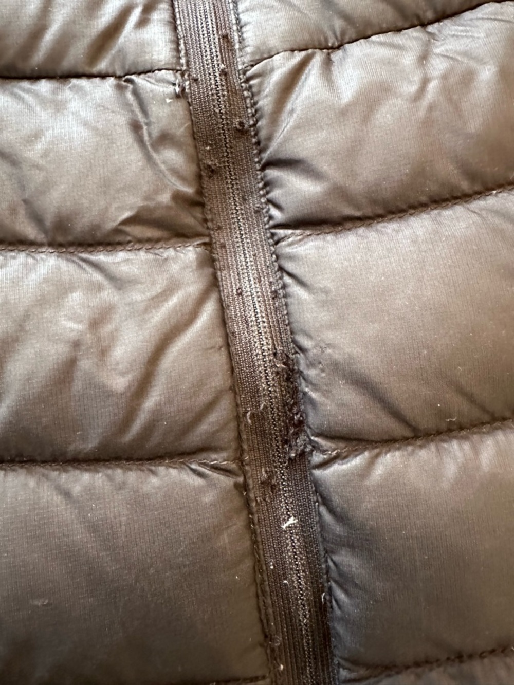 Women’s Arcteryx Cerium LT Hoody - Picture 5 of 6